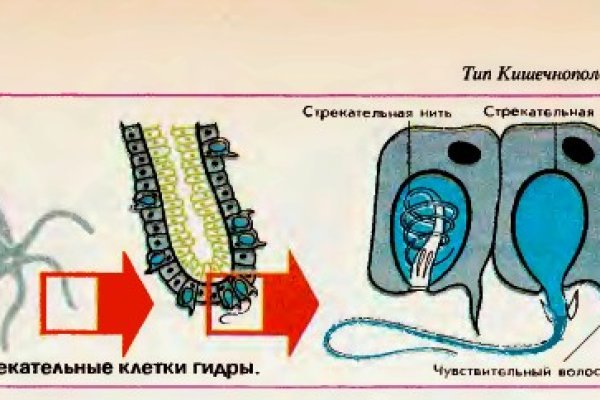 Ссылка на кракен в тор
