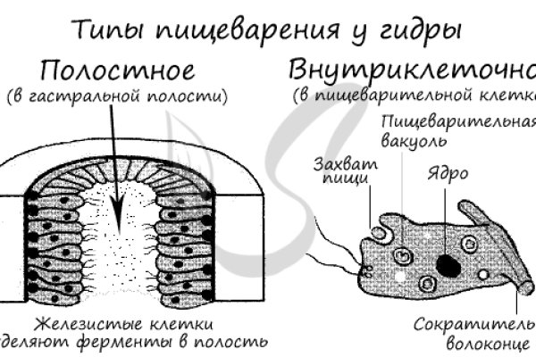Кракен официальный