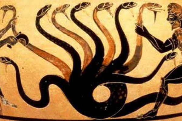 Kraken 7 org