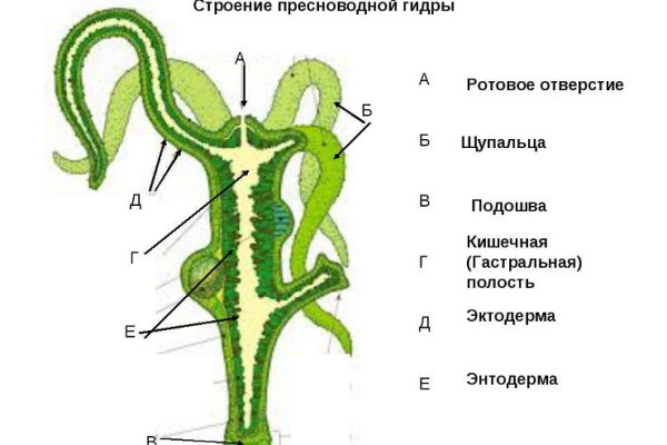 Kraken это что такое