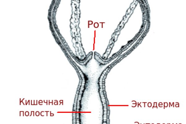 Kra17cc
