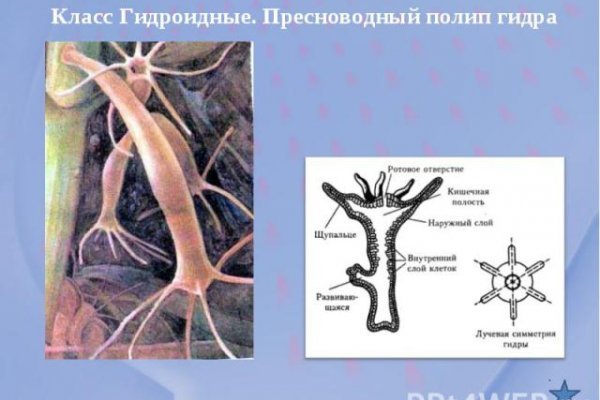 Что такое кракен 2024 маркетплейс